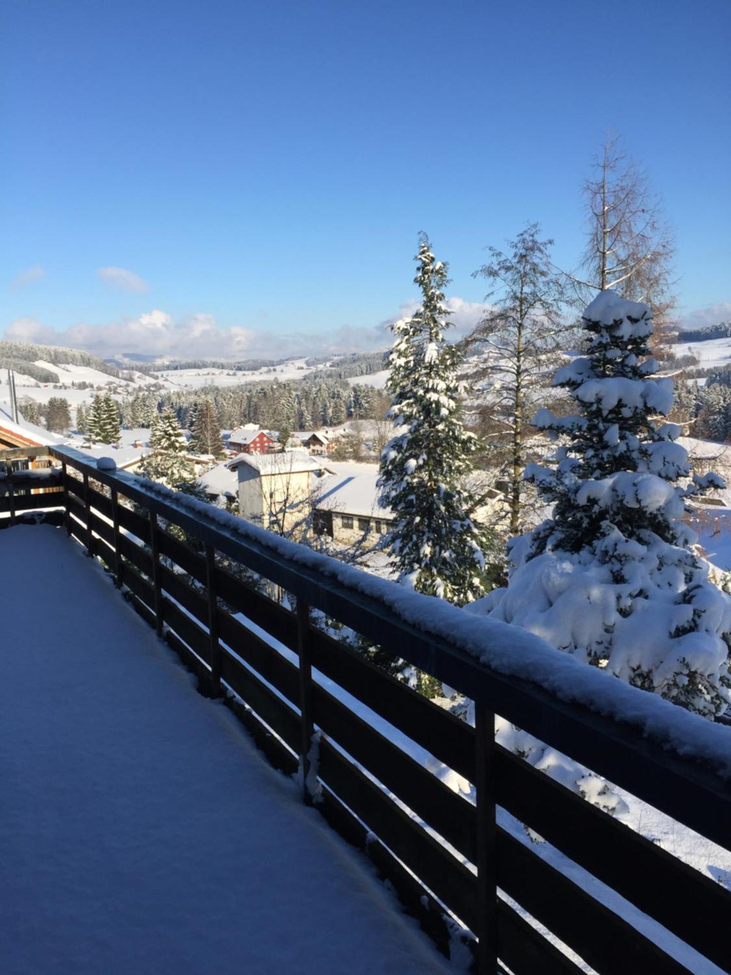 Panoramaapart - Alpzeit Im Westallgaeu Oberreute Zewnętrze zdjęcie